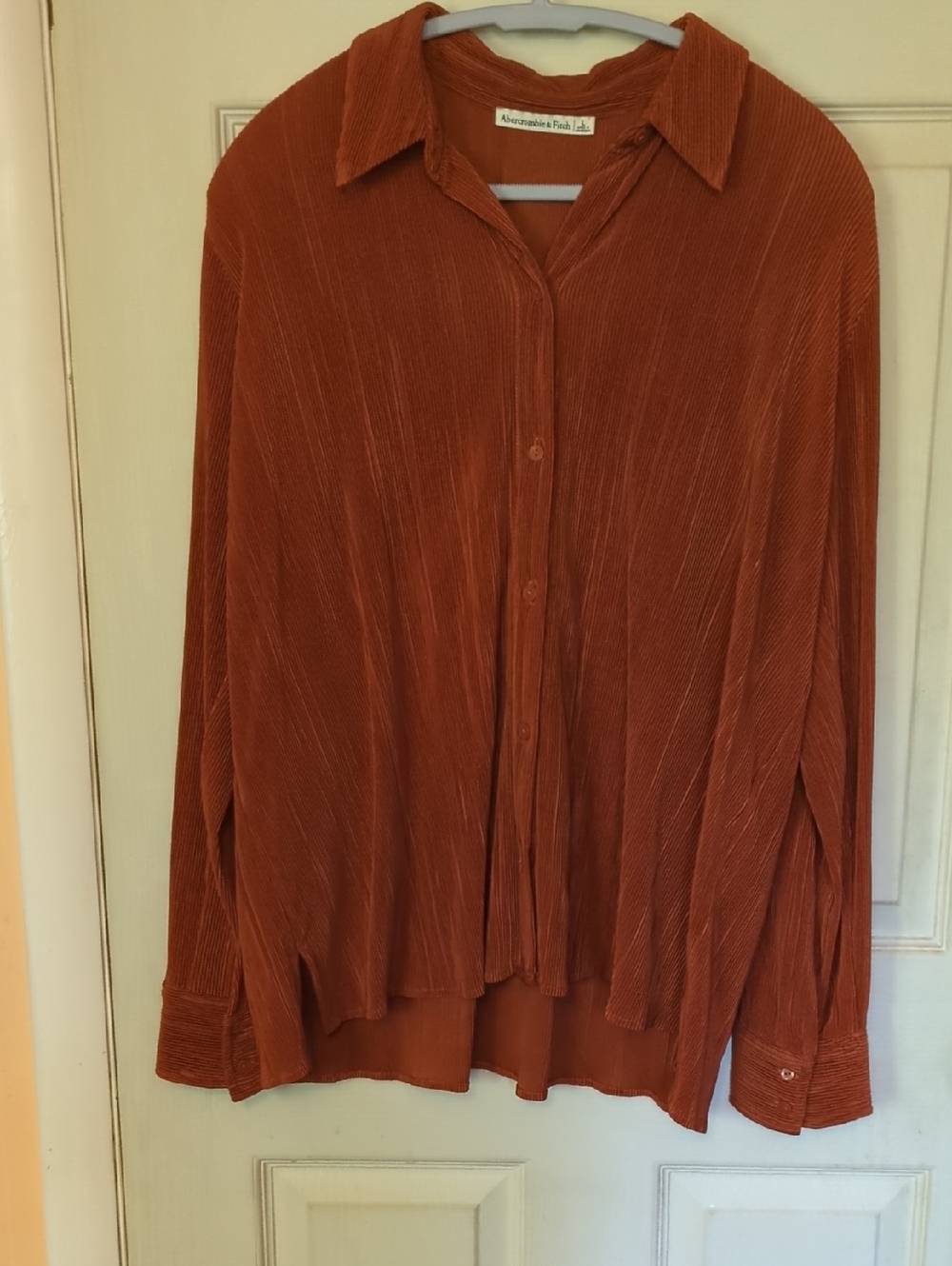 NWOT Abercrombie Fitch Large Burnt Orange Plisse Button down Shirt